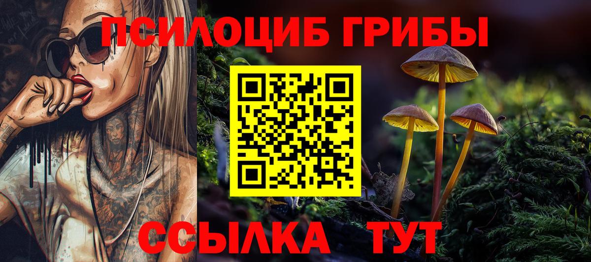 Камышлов  Галлюциногенные грибы прущие грибы  Вход с VPN 