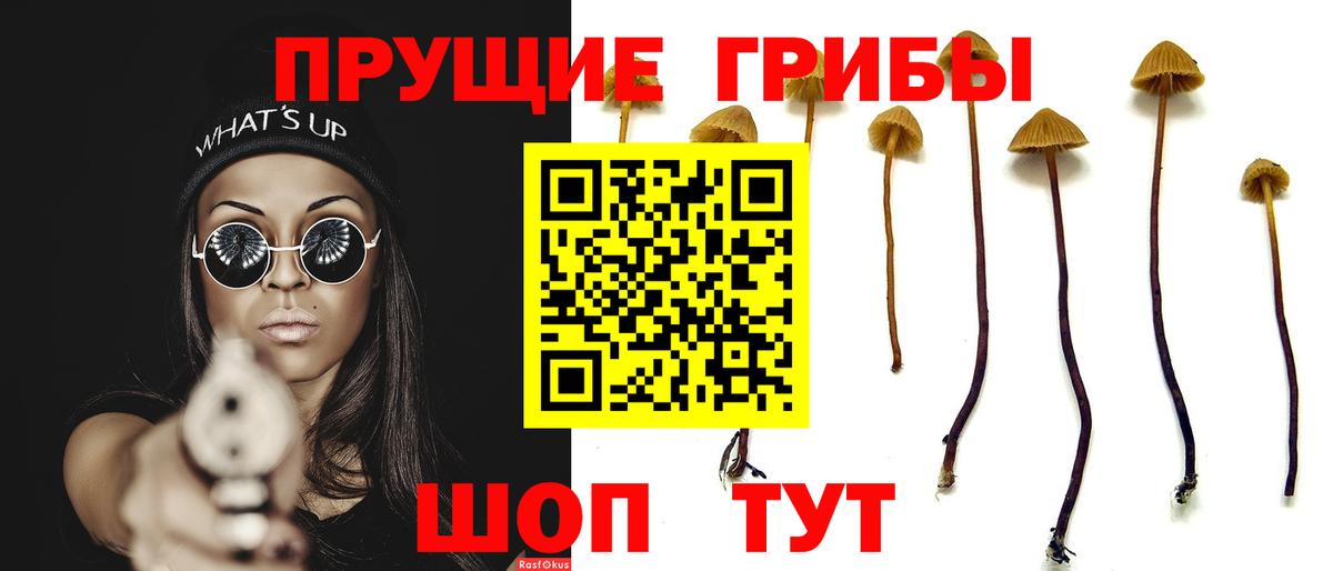 Псилоцибиновые грибы ЛСД Камышлов